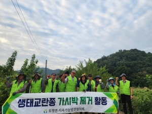 예천군 생태교란종 가시박 제거사업